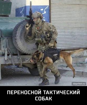 Прикрепленное изображение: 0-02-05-eeb11b657755b896d59fa8c3c6c98fe6a8dd4168de93246cce13430011c4ca03_full.jpg